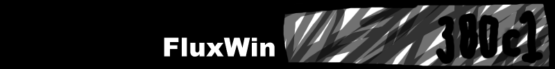 big.winflux.logo